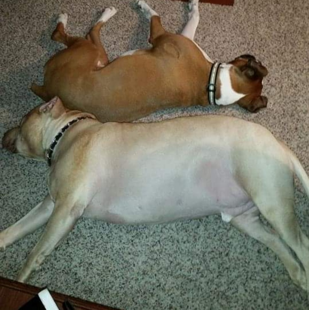 Meet your Posher, Birquette